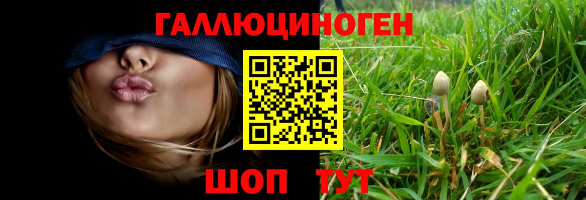 Мичуринск  Галлюциногенные грибы Magic Shrooms  Галлюциногенные грибы ЛСД  Вход с VPN 